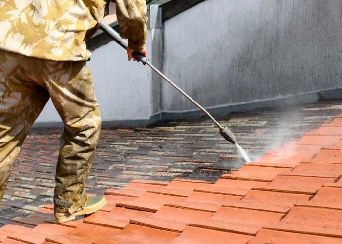 Roof-Cleaning-Roof-Cleaners